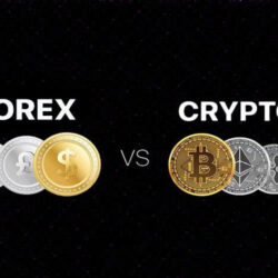 forex and crypto similarities and differences
